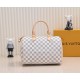 Louis Vuitton Speedy 30 M41533