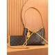 Louis Vuitton Monogram CarryAll 