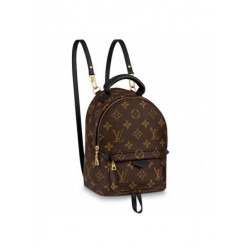 Louis Vuitton Palm Springs Mini Monogram